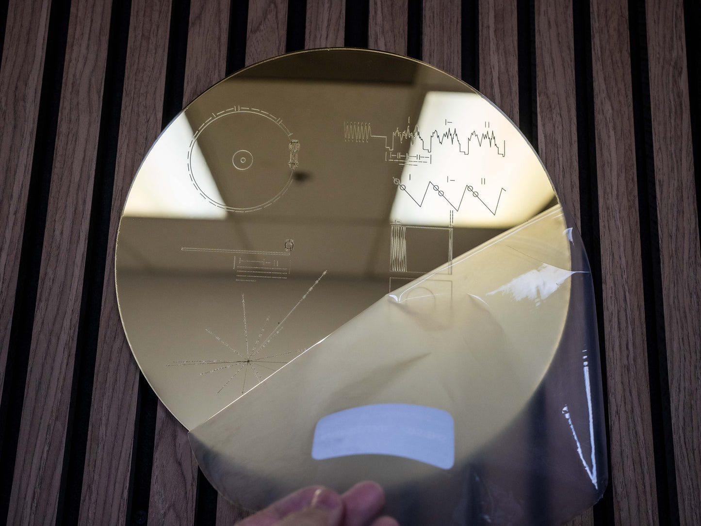 Voyager Golden Record Wall Art