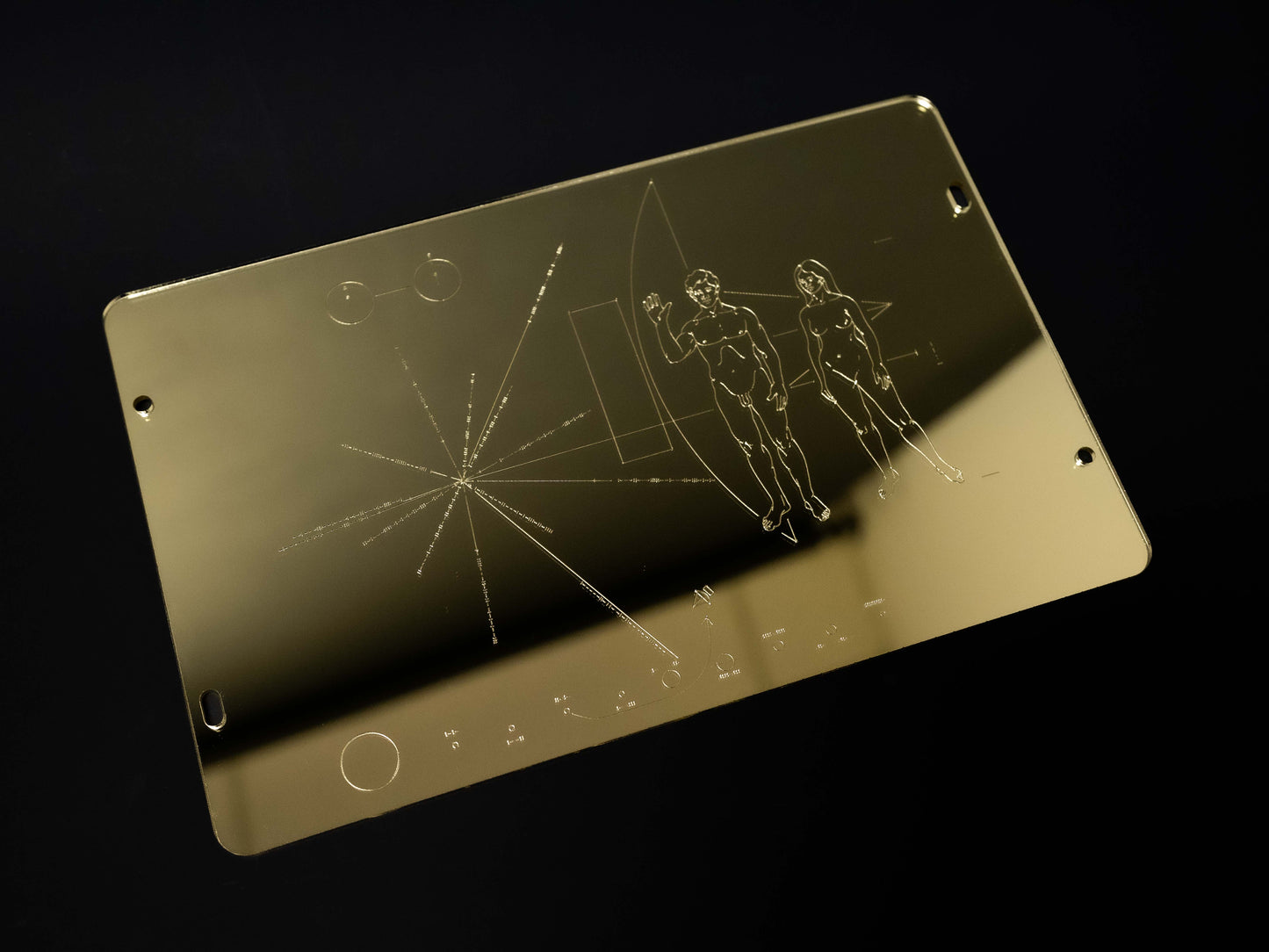 Pioneer Plaque Wall Art